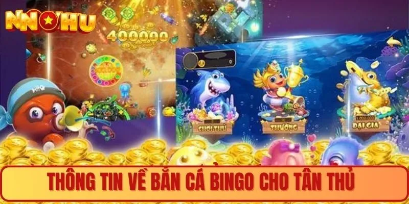 Thông tin về bắn cá bingo