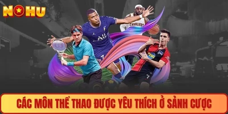 Các môn thể thao được yêu thích ở sảnh cược