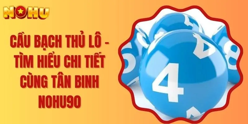 Cầu Bạch Thủ Lô - Tìm Hiểu Chi Tiết Cùng Tân Binh Nohu90