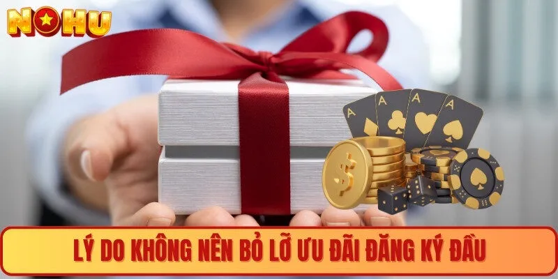 Lý do không nên bỏ lỡ ưu đãi đăng ký đầu