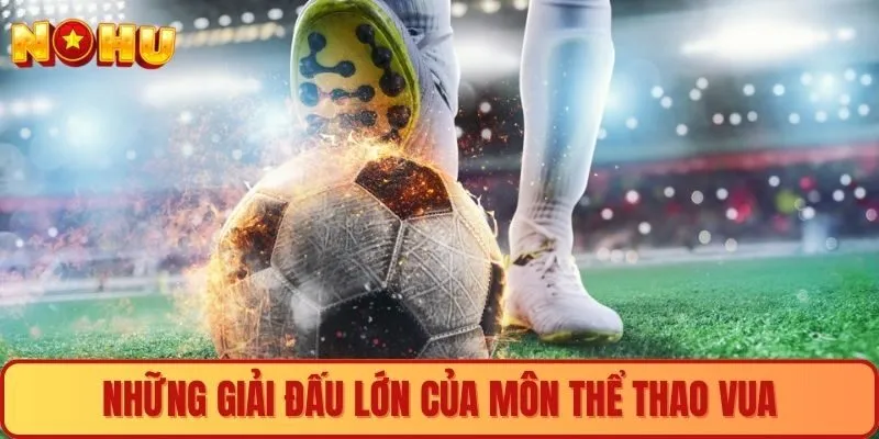 Những giải đấu lớn của môn thể thao Vua