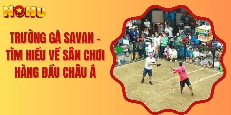 Trường Gà Savan - Tìm Hiểu Về Sân Chơi Hàng Đầu Châu Á