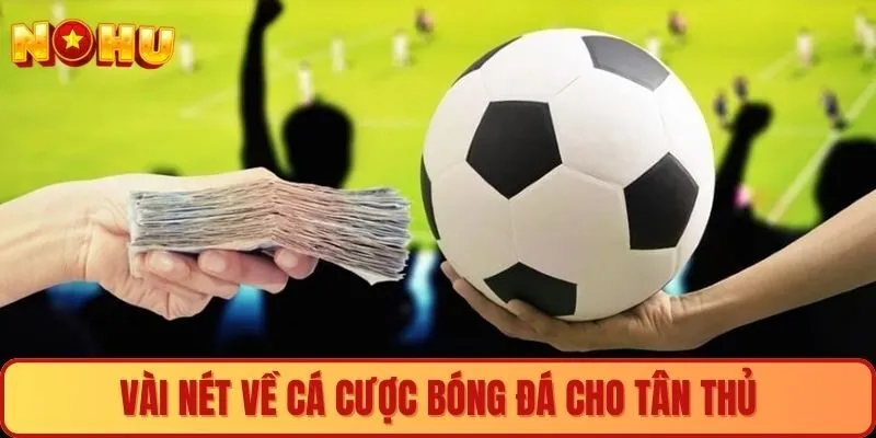 Vài nét về cá cược bóng đá cho tân thủ